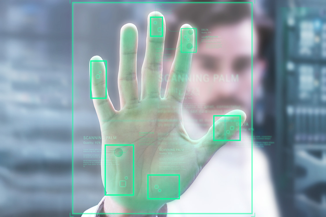 Identificación palmar