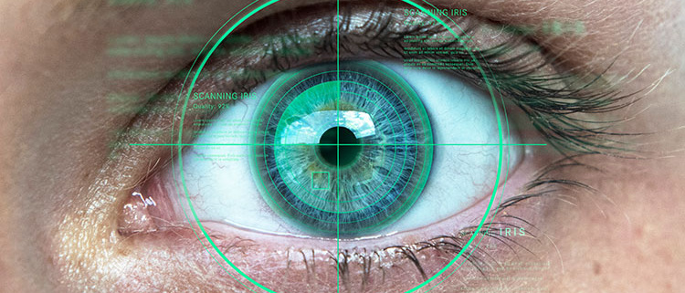 Iris recognition software captures iris images.