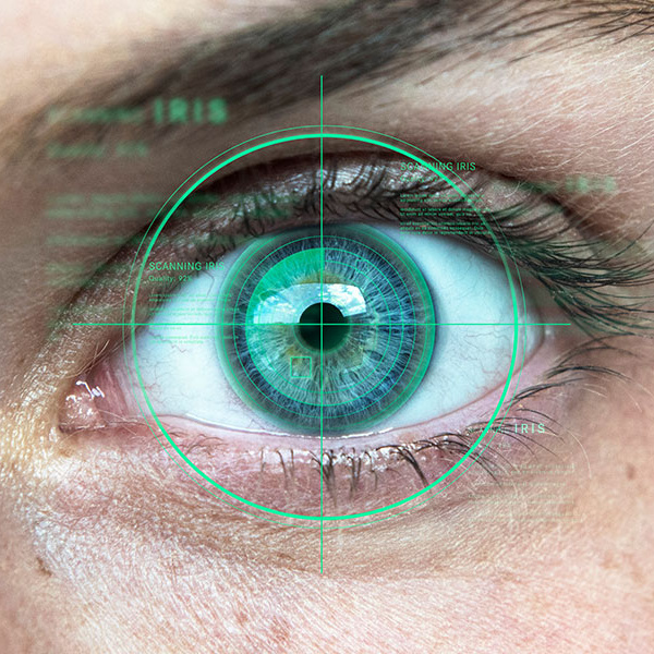 Iris recognition software captures iris images.