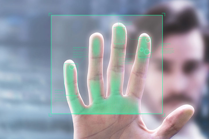 Software for Fingerprint Identification