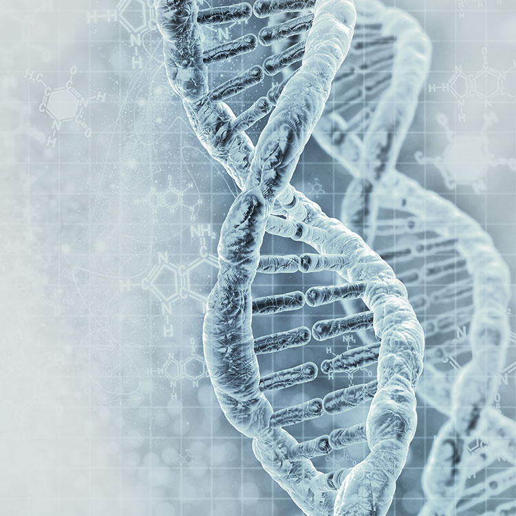 dna-strand-genome