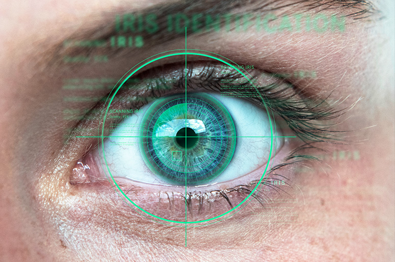 Iris Recognition