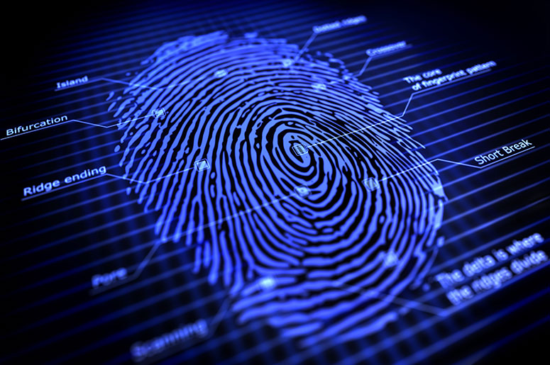 fingerprint-with-markings-bifurcation-and-endings